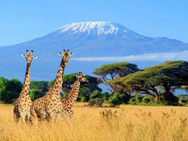 KENYA 01